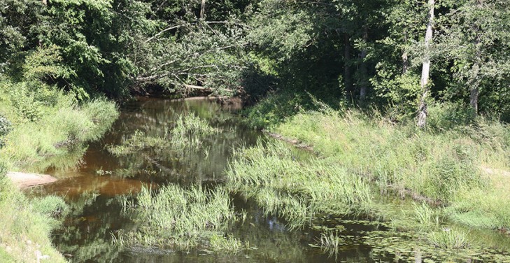 Как в Беларуси контролируется качество воды, рассказали в Минприроды