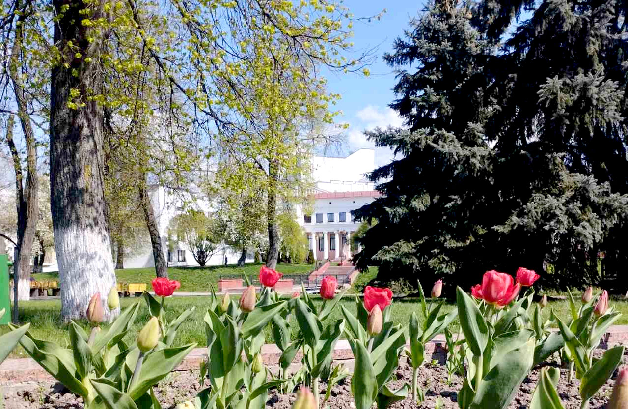 Слутчане делятся мнением о республиканском субботнике