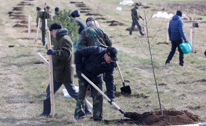 В Год благоустройства в Минской области выберут лучший населенный пункт