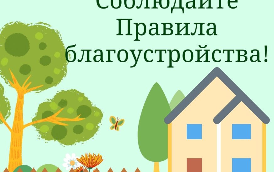 Кто обязан наводить порядок на территориях возле частных домов и предприятий