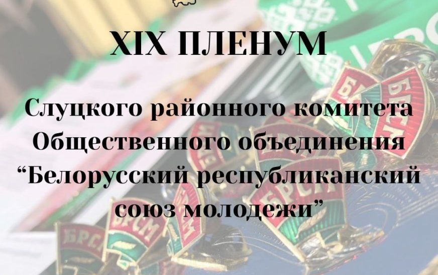 В Слуцком районе состоялся XIX Пленум районного комитета БРСМ