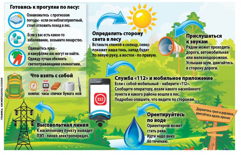 Тихая охота: как не потеряться в лесу