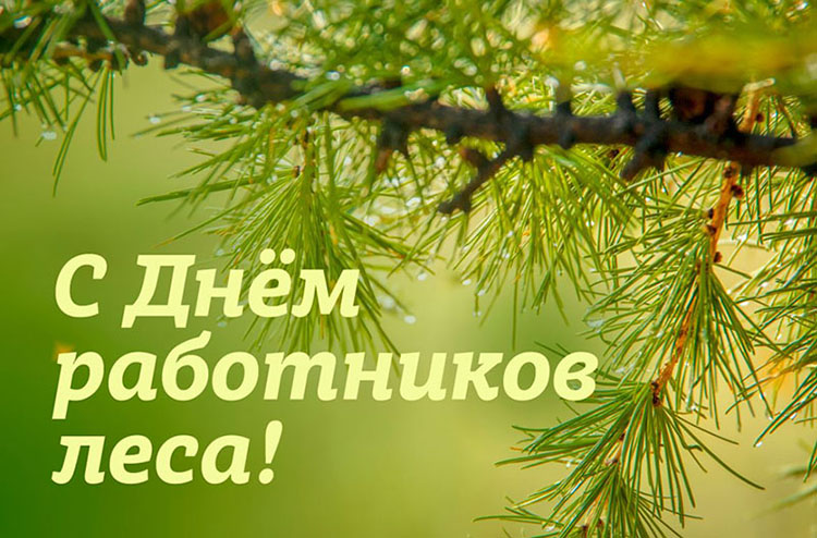 Поздравление председателя Слуцкого райисполкома с Днем работников леса