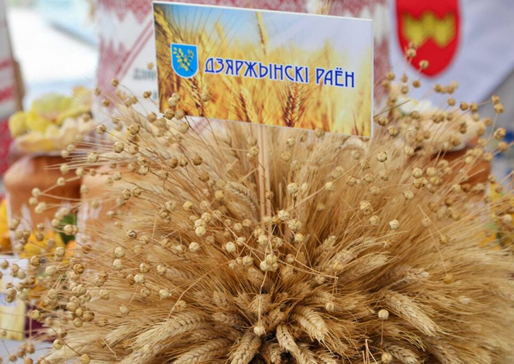 Столицей “Дажынак” Минской области в 2026 году станет Дзержинск