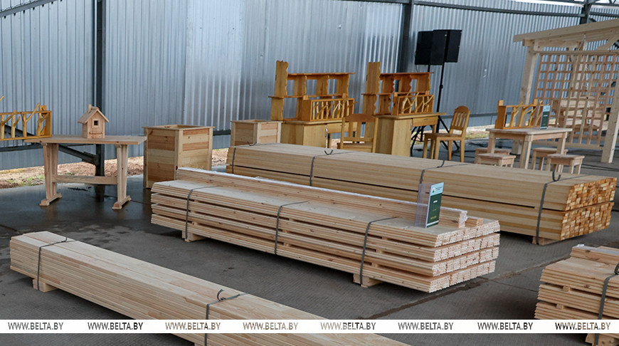 Лукашенко поручил тиражировать в Беларуси небольшие производства по переработке древесины