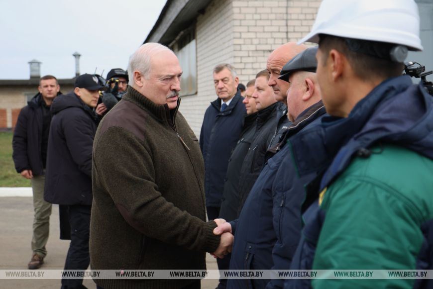 Лукашенко представили проект опытного строительства МТК из деревянных конструкций