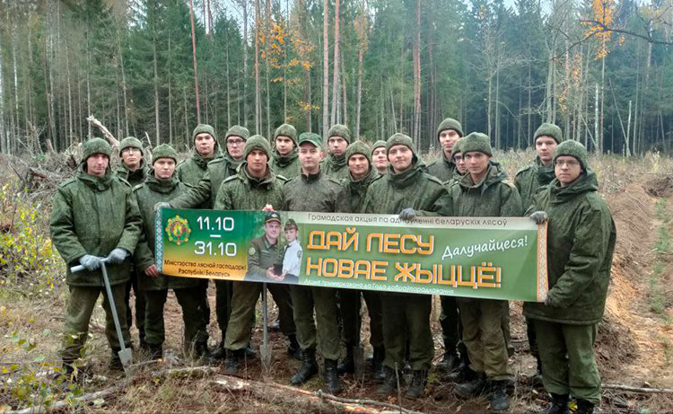 Военнослужащие присоединились к общественной акции “Дай лесу новае жыццё”