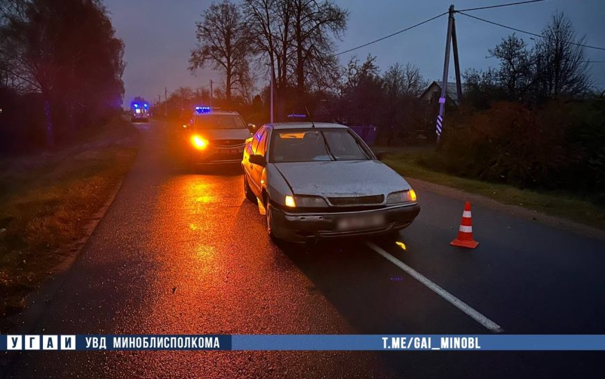 В Слуцком районе погиб пешеход