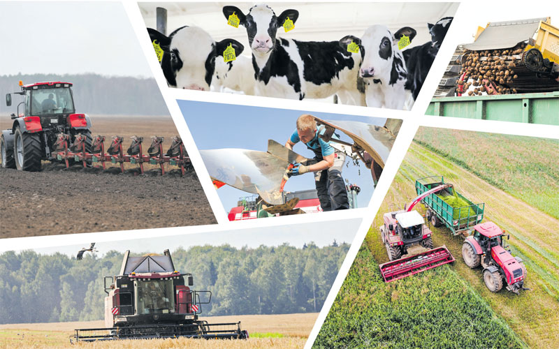 Сохранить деревню