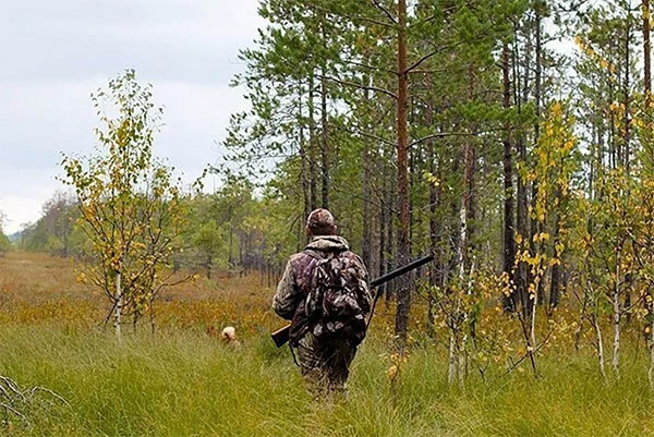 Ноябрь в Беларуси объявлен месяцем охотничьего туризма