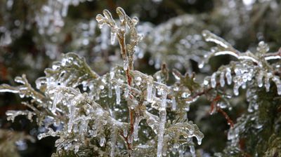 О факторах опасности при гололедице напомнили в МЧС