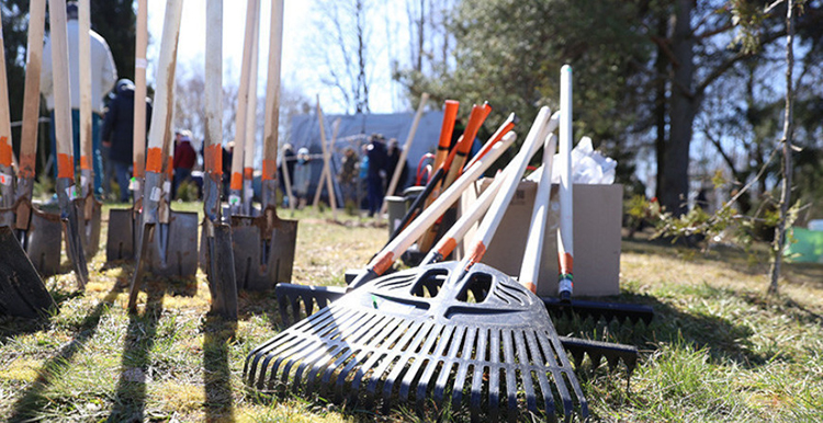 Какие гражданские инициативы реализованы в Год благоустройства, рассказали в МЖКХ