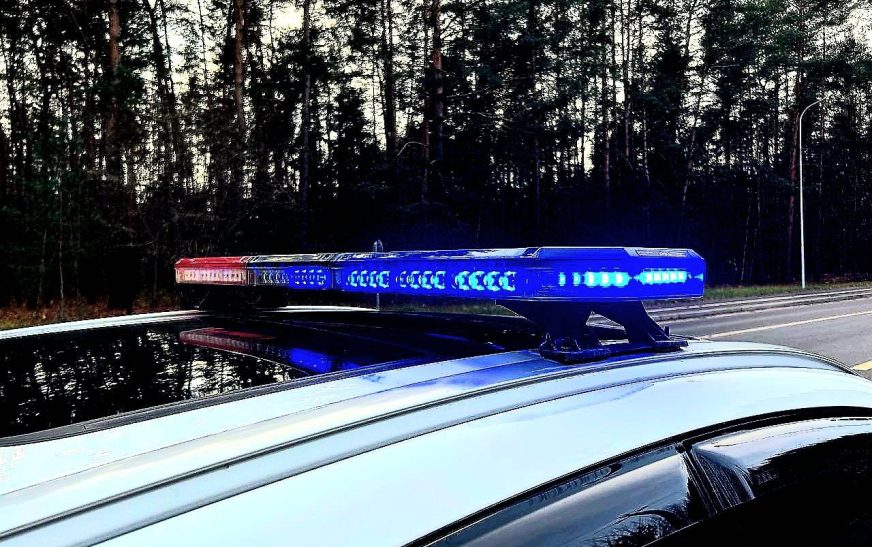 Водители, снижайте скорость перед пешеходными переходами