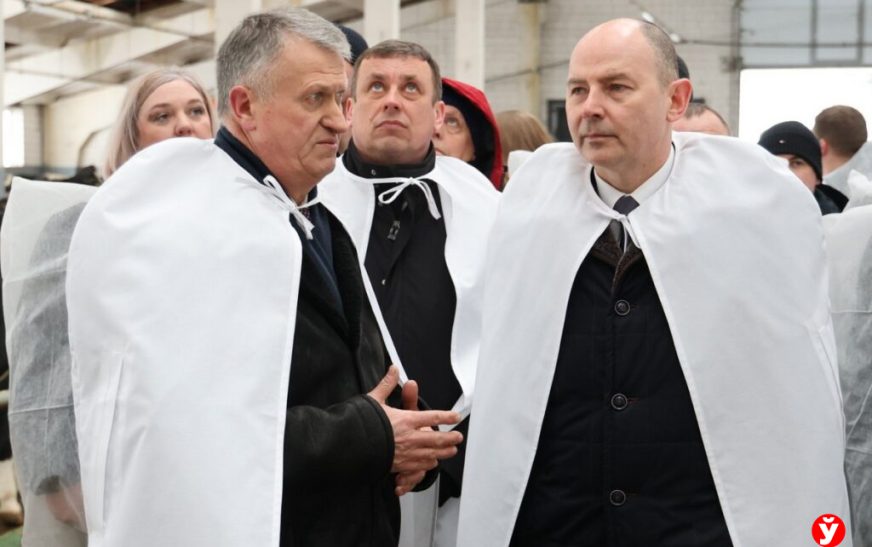 Дисциплина под камерами и новые стандарты: аграриям Минщины обозначили требования к работе ферм