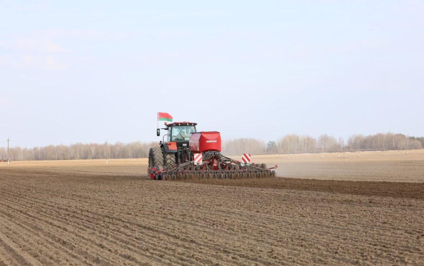 В сельхозорганизациях района посеяли 35% зерновых