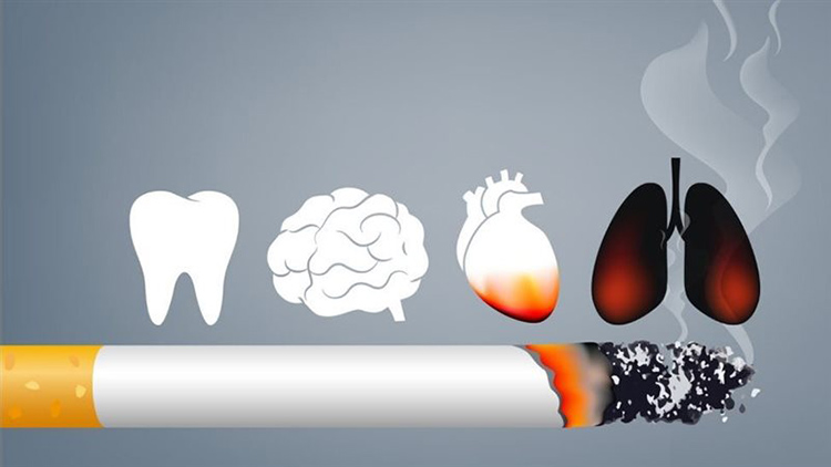 Последствия курения сигарет