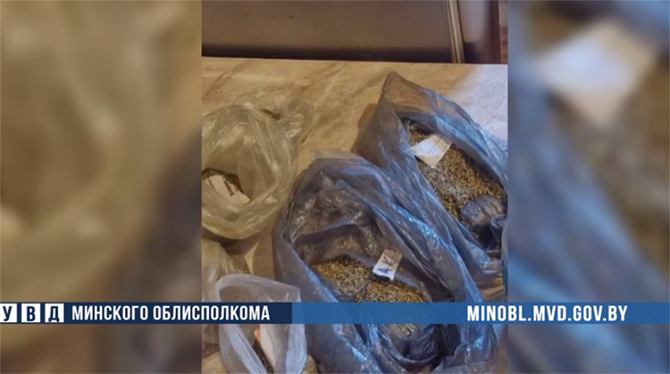 Жителя Слуцкого района задержали за езду под наркотиками, в машине и дома нашли более килограмма марихуаны