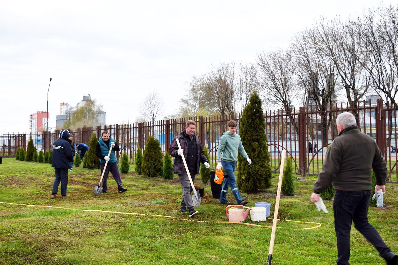 Работники сахарорафинадного комбината навели порядок на прилегающей территории