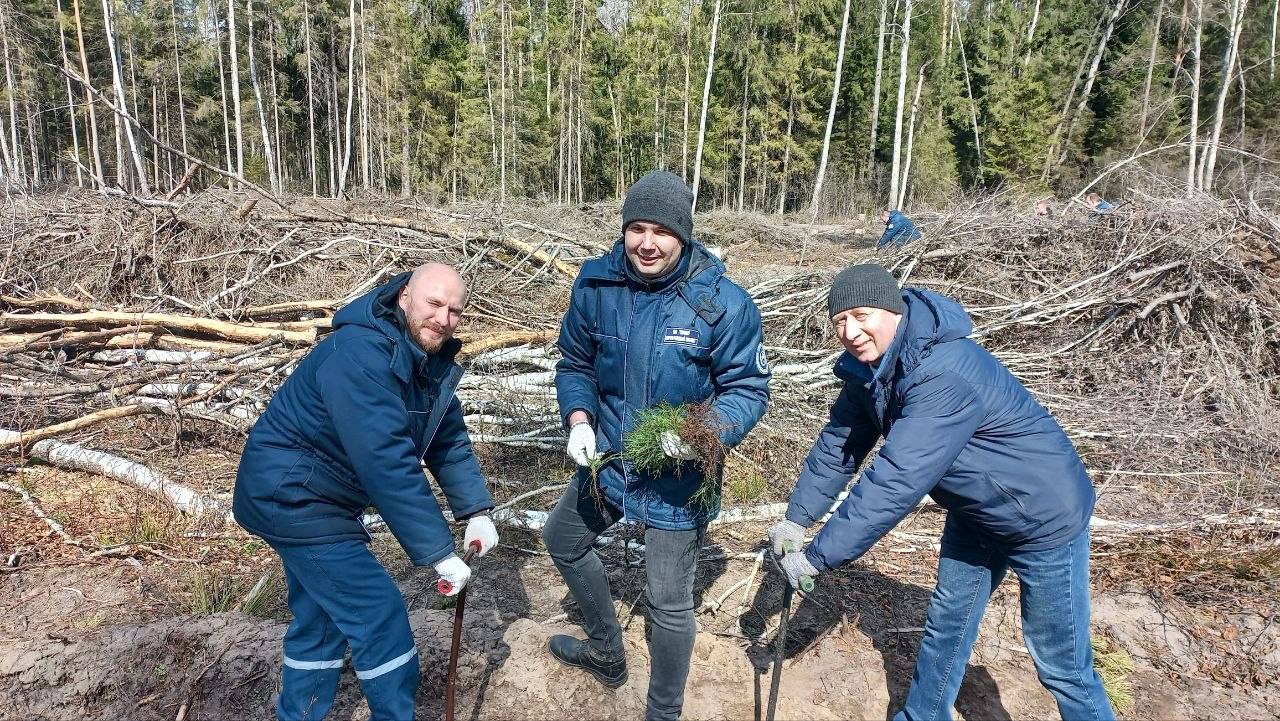 Об итогах акции «Лес! Дабро! Парадак!»