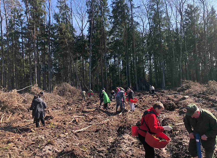 «Лес! Дабро! Парадак!»