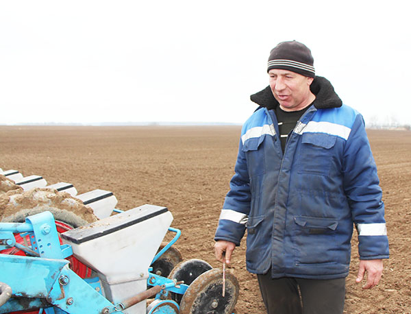 Сахарная свекла в Слуцком районе посеяна почти на трети отведенных площадей