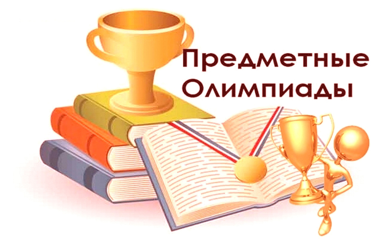 Слуцкие школьники привезли с республиканской олимпиады по учебным предметам пять дипломов