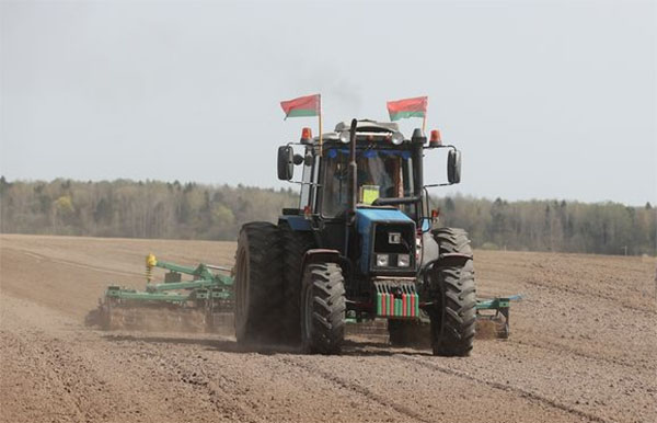 Сев свеклы в Слуцком районе провели более, чем на 40% отведенных площадей