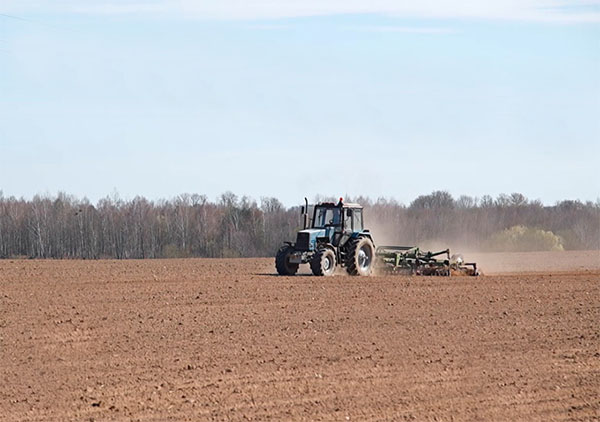 В Слуцком районе сеют сахарную свеклу