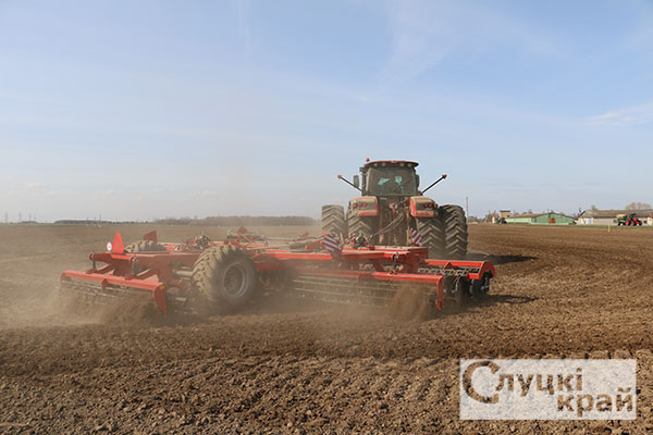 Зерновые и кормовые: какие посевные площади запланированы на этот год в Минской области? 