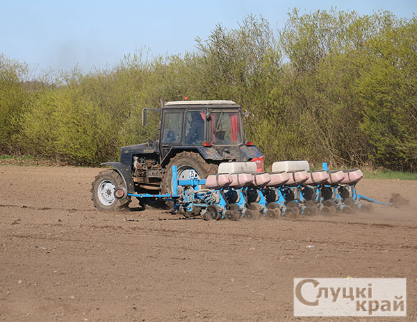 В Слуцком районе  идет сев кукурузы