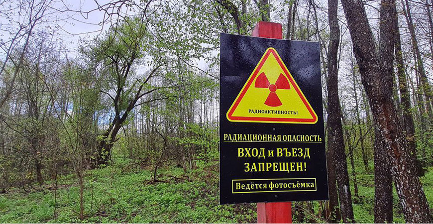 Соцзащита, оздоровление, сельское хозяйство. Как продолжат работу по чернобыльской тематике в 2026-2030 годах