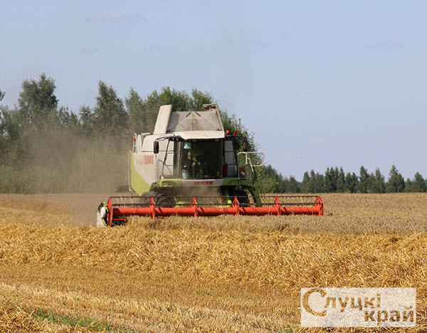 На Слутчине приступают к жатве