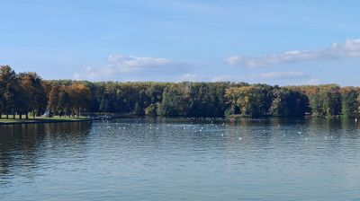 Как себя вести при случайном падении в холодную осеннюю воду, напомнили в ОСВОД