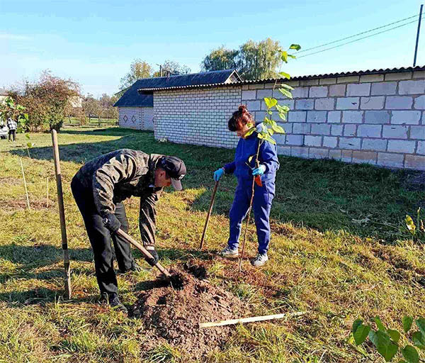 В агрогородке Весея реализуется гражданская инициатива по созданию парковой зоны в населенном пункте